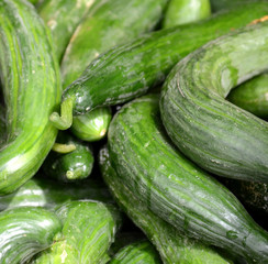 Fresh organic cuucmber for sale in a market