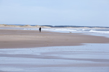 Fototapeta na wymiar Lone woman walking dog on open beach at Druridge Bay, Northumberland, England, UK.