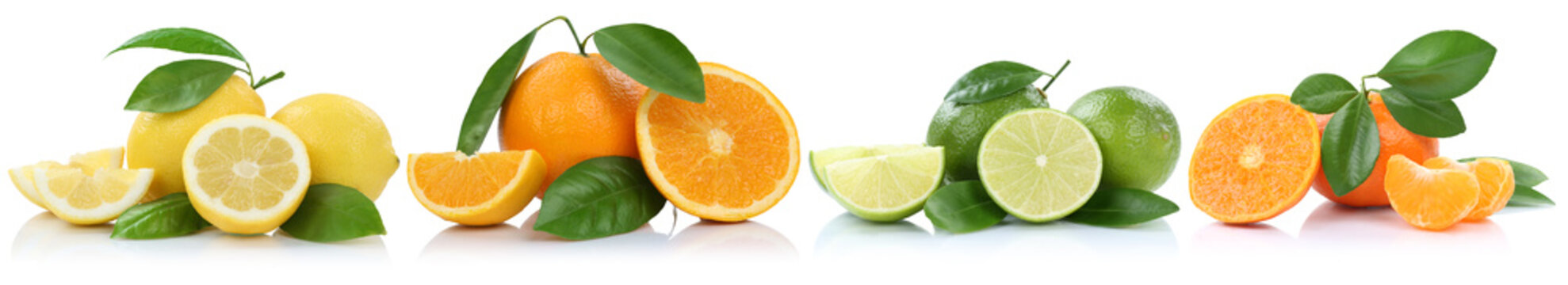 Fototapeta Sammlung Orangen Zitronen Mandarinen Früchte in einer Reihe Fre
