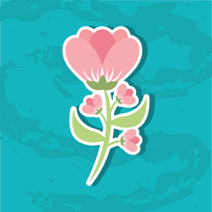 beautiful flower  design 