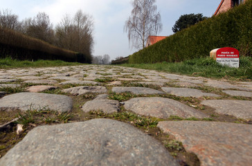 Fototapeta premium Pavés de Paris - Roubaix