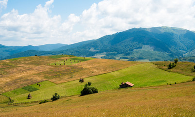 Landscape in the Ukrainian Carpathians