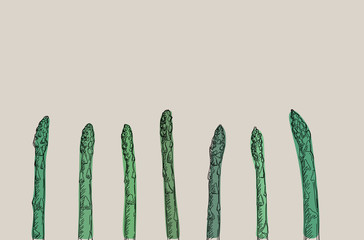 Vector collection of asparagus. Healthy food illustration 
Easy to change colors
