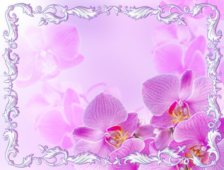 Fototapeta na wymiar Pink orchids with vintage ornament