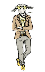 Hand Drawn Fashion Portrait of donkey  Hipster isolated on white