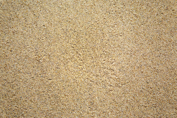 Wall texture