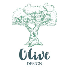 Obraz premium Olive design illustration.