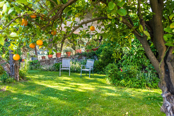 Relaxing in beautiful garden with Chairs - obrazy, fototapety, plakaty