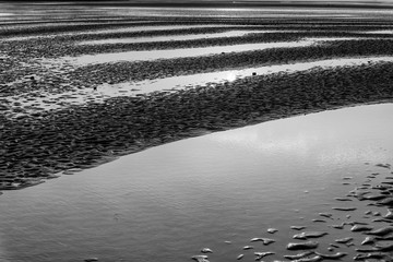 black and white photo of water on beach