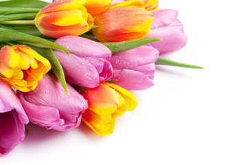 Fresh colorful tulip flowers bouquet