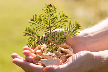 Hackschnitzel - Nachhaltige Energie