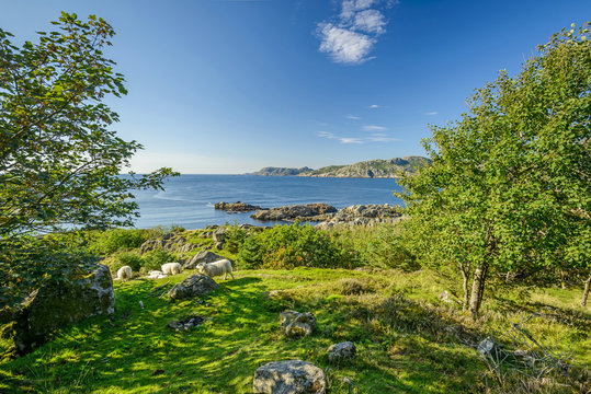 ships in scenic fjord landscape in the south of Norway, Europe
