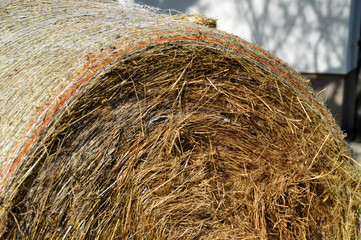 hay ball