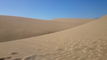 Fototapeta na wymiar Dünen auf Gran Canaria
