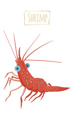 Shrimp, vector cartoon illustration
