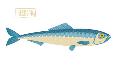 Herring illustration, flat, cartoon