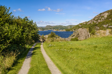 Fototapeta na wymiar scenic fjord landscape in the south of Norway, Europe 