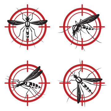 collection of four mosquito prohibited sign