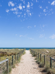 Fototapeta na wymiar sandy road to the sea in Australia