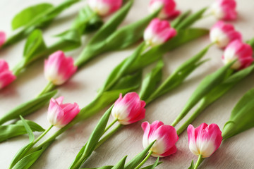 Pink fresh tulips on the white table, close up