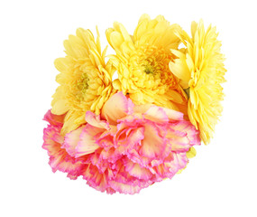 ガーベラとカーネーション
