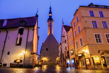 Tallinn Town Hall night view