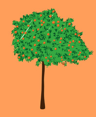 An orange tree, vector illustration - 106824605