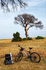 traveller's backpack and bicycle under a tree in Cirali, Antalya, Turkey