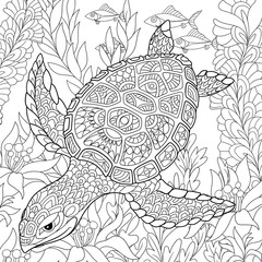 Naklejka premium Zentangle stylizowany rysunek żółwia pływającego wśród alg morskich. Ręcznie rysowane szkic dla dorosłych kolorowanki antystresowe, godło T-shirt, logo lub tatuaż z doodle, zentangle, kwiatowy wzór elementów.