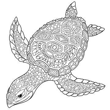 Zentangle stylized cartoon turtle, isolated on white background. Hand drawn sketch for adult antistress coloring page, T-shirt emblem, logo or tattoo with doodle, zentangle, floral design elements.
