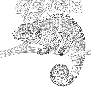 Zentangle stylized cartoon chameleon, isolated on white background. Hand drawn sketch for adult antistress coloring page, T-shirt emblem, logo or tattoo with doodle, zentangle, floral design elements.