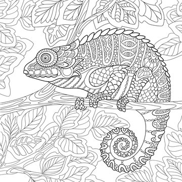 Zentangle stylized cartoon chameleon sitting on a tree branch. Hand drawn sketch for adult antistress coloring page, T-shirt emblem, logo or tattoo with doodle, zentangle, floral design elements.