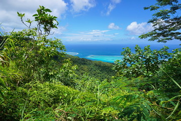 Fototapeta na wymiar Green vegetation with ocean view from the heights of Huahine Nui island, Pacific ocean, French Polynesia
