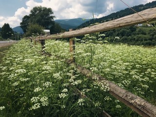 деревянный забор в деревне