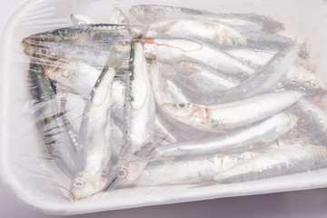 Obraz premium Fresh raw sardines in a white polystyrene food box isolated on w