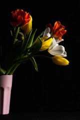 Beautiful flower bouquet of colorful tulips in pink vase on black background 