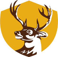 Fototapeta premium Whitetail Deer Buck Head Crest Retro