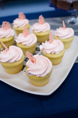Wedding Reception Cupcakes