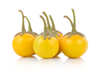 yellow eggplant on white background