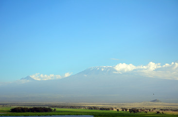 Fototapeta premium Kilimanjaro, Amboseli National Park, Kenya