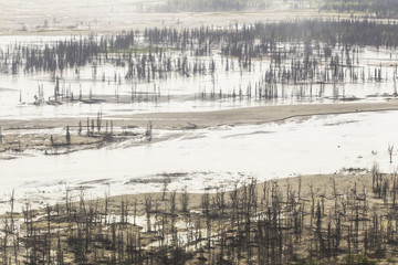 aerial photographs of alaska tundra wetlands for backgrounds and