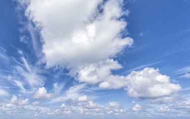 tropical Caribbean sandy beach
