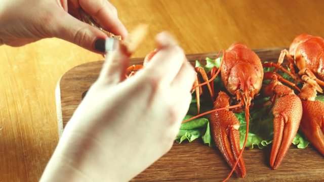 The female eats a lobster or cancer od crayfish using flat-nose pliers