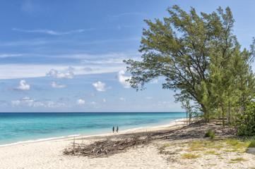 tropical Caribbean sandy beach