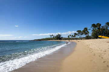 Fototapeta na wymiar Salt pound Beach Park, Kauai, Hawaii-