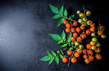 Fresh cherry tomatoes on black wooden background