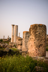 Ancient city of Salamis located in eastern part of Cyprus.