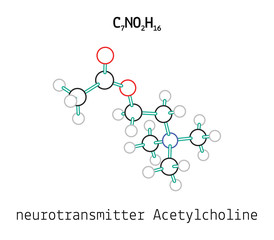 C7NO2H16 Acetylcholine molecule