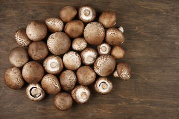 Brown cap mushrooms