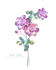 watercolor illustration flowers in simple background